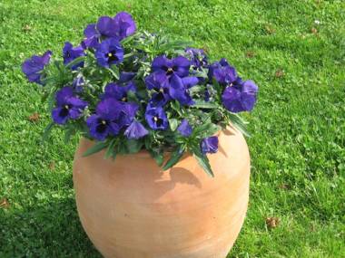 De Lux Apartments Kosta