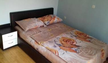 Nikolic Apartments - Ohrid City Centre