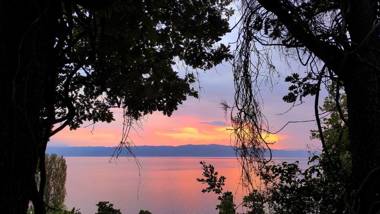 Villa Forest Paradise