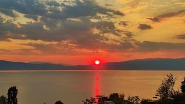 Villa Forest Paradise