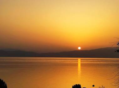 Villa Forest Paradise