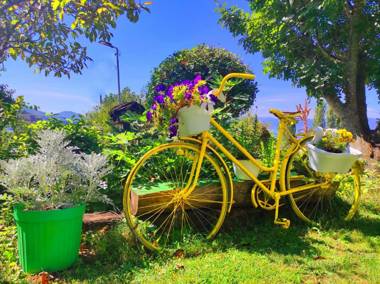 Villa Forest Paradise