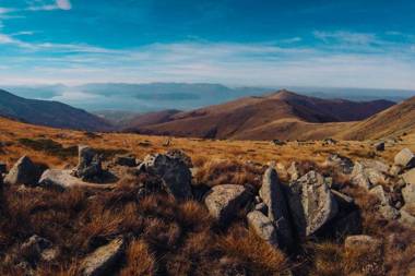 The Green Apartments