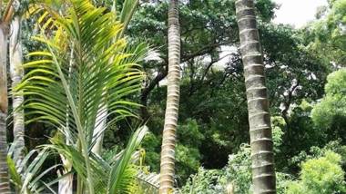 Pousada de Coloane Boutique Hotel