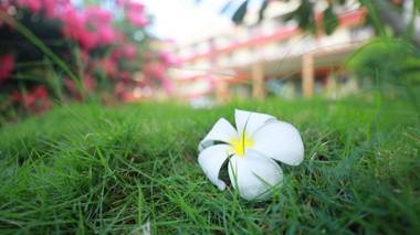 Beach Garden Apartments & Hotel