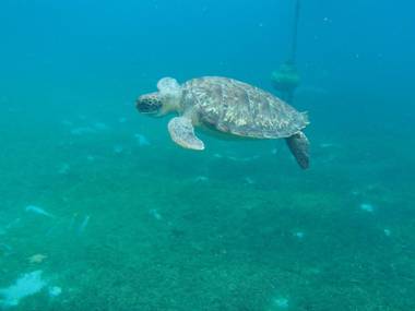 Habitation Desrosiers