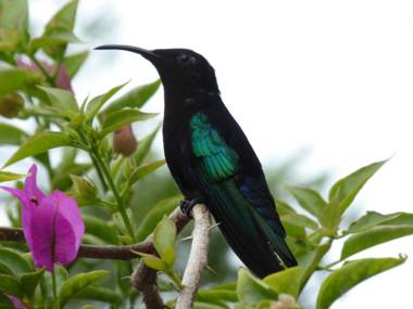 Habitation Desrosiers