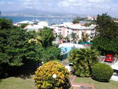 CoCoKreyol - Alamanda -