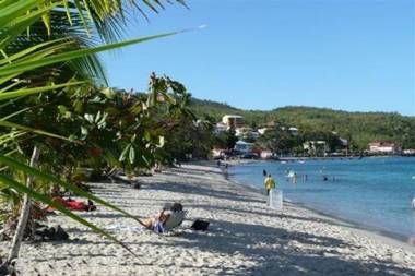 CoCoKreyol - Alamanda -