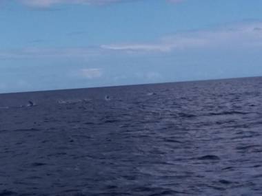 Gites "les colibris"