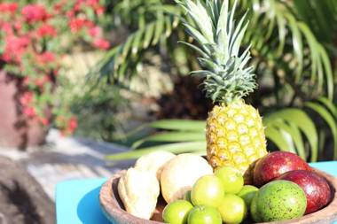 Villa Colibri : piscine grand jardin près des spots de kitesurf