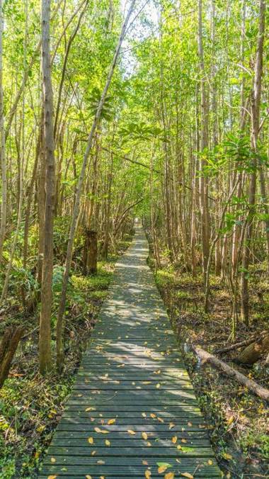 Residence Les Cayalines