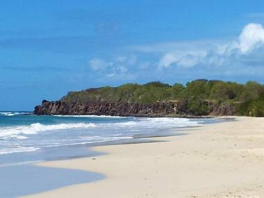 Studio a Sainte Anne a 100 m de la plage avec vue sur la mer terrasse amenagee et wifi