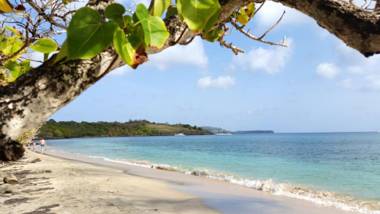 Studio a Sainte Anne a 100 m de la plage avec vue sur la mer terrasse amenagee et wifi