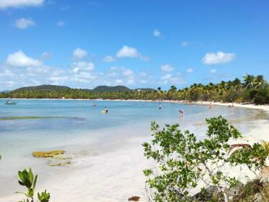 Studio a Sainte Anne a 100 m de la plage avec vue sur la mer terrasse amenagee et wifi