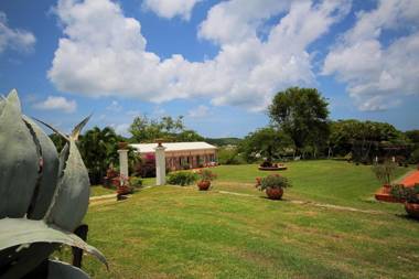 Villa with swimming pool and garden view MQSA20