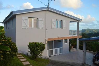 Maison de 2 chambres avec jardin clos et wifi a Riviere Pilote