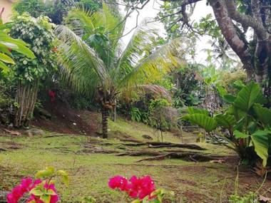 Appartement de 2 chambres avec jardin clos et wifi a Riviere Pilote