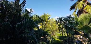 T2 KASANACO Marina Pointe du Bout Trois Ilets