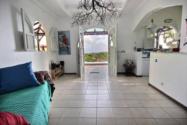 Villa Palmier rouge : 3 ch piscine à débordement vue mer et végétation