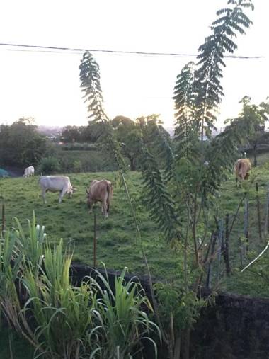 La Colline Bed and Table