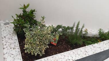 68 Blue Crystal Flat 1