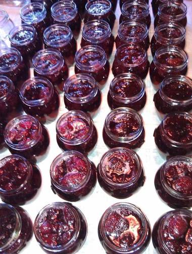 The Burrow Guest House