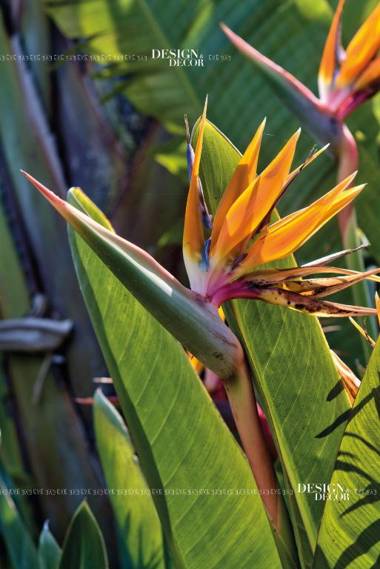 Selmunett – Malta Homestay