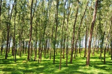 Chalet Kestrel with pool on the beach
