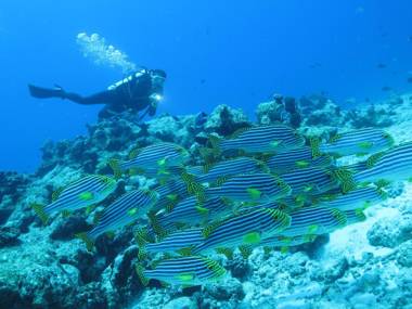 Adaaran Select Huduran Fushi - Premium All Inclusive