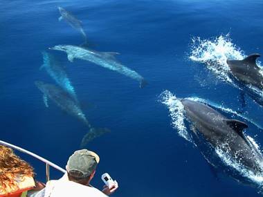 Batuta Maldives Surf View