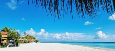 Gurus Maldives at Gulhi Island