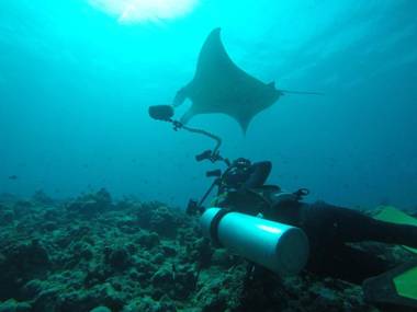 Liberty Guest House Maldives
