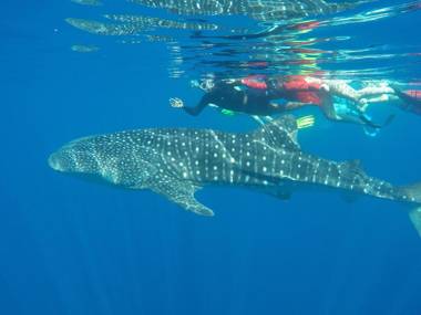 Sea View Villa Ukulhas