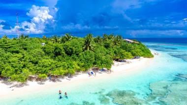 Brick Wood Sunset Beach