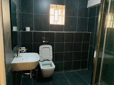 The Belgian Executive