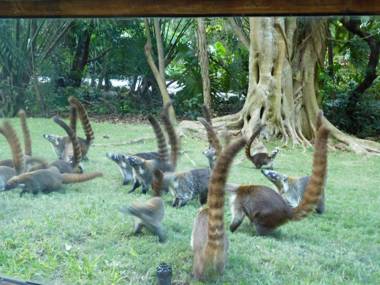 Suites at Mayan Palace Vidanta Resort Riviera Maya