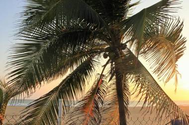Bungalows Tree Tops - Adults Only