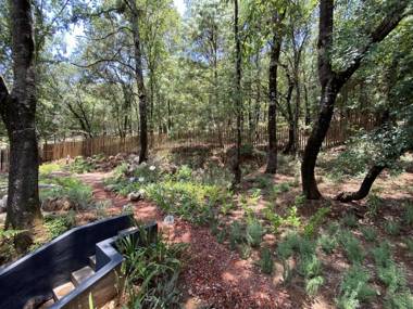 Hotel Oxú Solo adultos