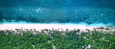 Papaya Playa Project