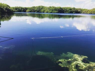 Cormoran Boutique Hotel & Private Cenote Tulum