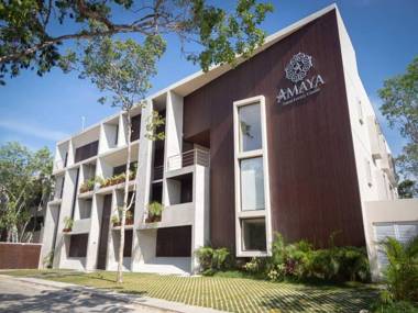 New One Br Apartment for Up To 4 Grill Pool At the common Rooftop