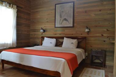 Finca Hamburgo La Ruta del Cafe