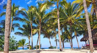 AzulPitaya Beach Front Hotel in Sayulita