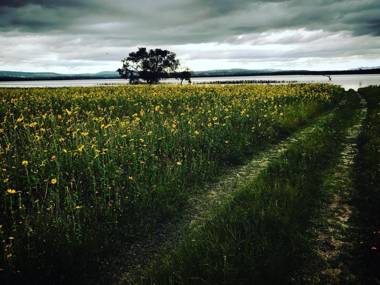 Mesa Verde by Rotamundos