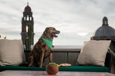 Casa Hoyos - Hotel Boutique