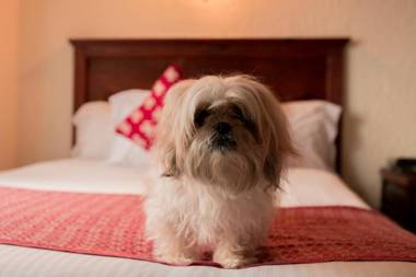 Rosario Hotel Boutique