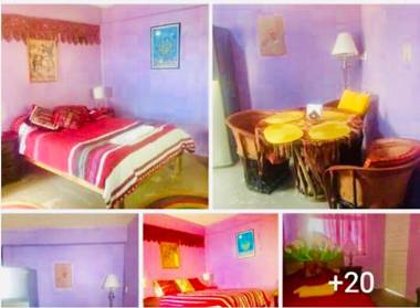 Amazing House of View