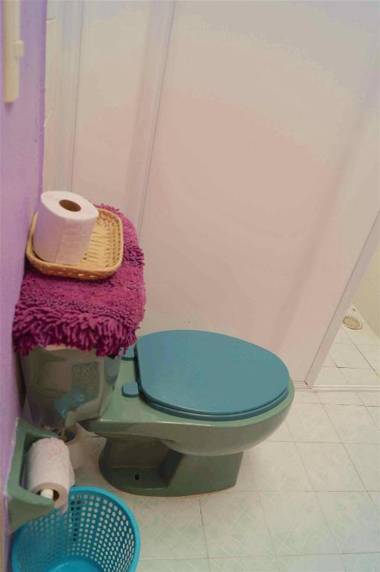 Cozy Big Bungalow Close To Downtown