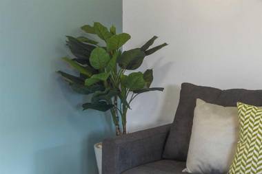 Suite lujo y comodidad 150MB Home Office Céntrico El Prado C12